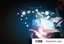 多IP服务器的工作原理是什么？(使用多台ip服务器构建l2tp)_找独服