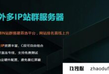 台湾省多Ip站群服务器好不好?_找独服