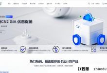 Leica Cloud的新年特别优惠：韩国/香港/美国，第一个月只有9.9元，CN2 Line 4C4G年度付款套餐为249元_找独服