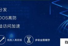 2024年，网络防御会选择高防CDN还是高防服务器？(高安全性服务器有用吗？)_找独服