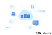 母鸡用大厂租的vps服务器能干什么?(租用机房的服务器)_找独服