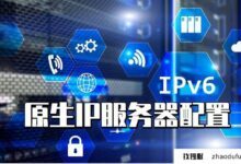 游戏直播和电商爆款:海外原生IP服务器都有哪些配置？_找独服