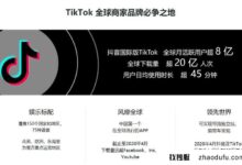 tiktok账户的反向代理是什么？_找独服