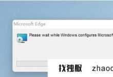Win11 flash异常问题修复失败怎么办？_找独服