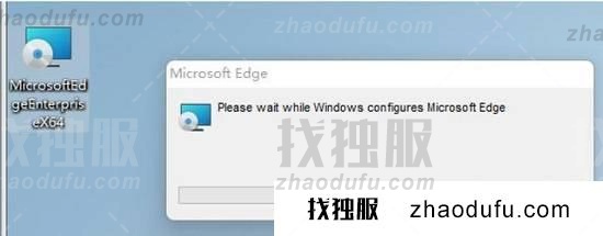 Win11 flash运行异常问题修复失败怎么办