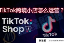 Tiktok开店淘金:抖音服务器的外企识别码_找独服