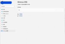 Windows S11更新设置界面无法打开的解决方案_找独服