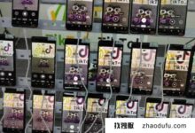 “构建tiktok账户矩阵”租用海外多IP服务器(tiktok如何构建专属网络环境)_找独服