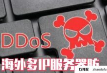 危机四伏:海外多ip服务器能否抵御攻击？(美国多ip服务器)_找独服