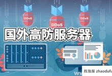 国外高安全性服务器应该如何选择?听听运维专家的讲解(高防服务器哪个好)_找独服