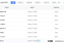 Varidata双11黑五促销:港台服务器最高25折,升级至500M加400元,升级至1G带宽加800元_找独服