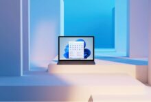 Win11官方升级安装助手升级安装教程旧平台轻松升级成功。_找独服