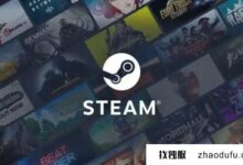 Steam、LOL等游戏Socks5代理教程:_找独服
