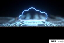 企业云服务器有哪些应用？(企业云服务器的应用市场有哪些？)_找独服