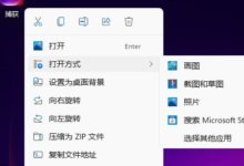 Win11如何改变图片格式?Win11改变图片格式的操作方法(win10图片修改格式)_找独服