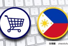 菲律宾原生ip服务器在东南亚建设本地商店(菲律宾属于哪个服务器)_找独服