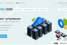 Profitserver:俄罗斯独立服务器40%优惠，100Mbps不限流量，月付28美元(俄罗斯服务器租赁)。_找独服