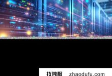 租用服务器要多少钱？（租用服务器要多少钱？）_找独服