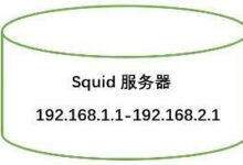 什么是Squid代理服务器?Squid代理服务器构造(squid代理类型)_找独服