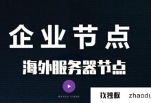 海外节点服务器如何选择?(海外有哪些服务器?)_找独服