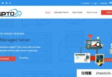 BGPTO新年优惠:新加波独立服务器5折,E3仅需325.5元/月-1230v3/16GB/480SSD/10m。_找独服