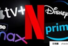 能完全解锁网飞和迪士尼的原生ip节点在哪里？_找独服