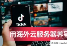 如何提高抖音帐户与海外云服务器?(如何打开海外tiktok)_找独服