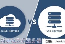 新加坡vps云服务器和新加坡vps有什么区别?_找独服
