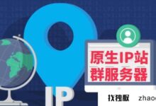 有原生IP的海外站群服务器在哪里?(海外服务器ip是什么意思?)_找独服