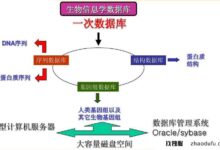 什么是原始信件分析服务器?如何配置?(生活信分析是为了什么?)_找独服