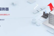 外贸仿台群服务器租赁_找独服