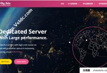 10GBIZ:香港服务器/8C电台组Multiip Server,有限时间折扣60%,20Mbps无限的流量,20克防御,每月付款从95美元开始_找独服