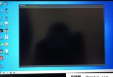 steam支付时屏幕黑屏怎么办?Steam买不到游戏解决方案。_找独服