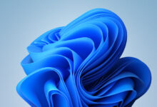 Win11系统频繁死机怎么办？Win11频繁崩溃的解决方案_找独服