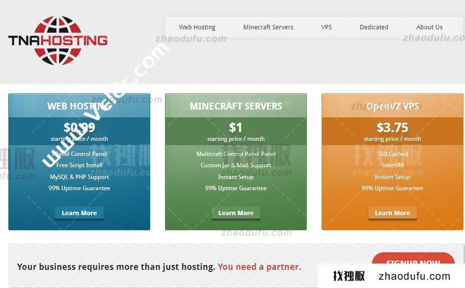 TNAHosting：美国VPS促销，500GB大硬盘存储VPS，年付50美元起，2G KVM VPS 年付15美元起
