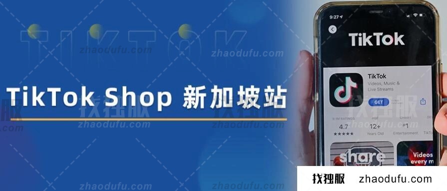 TikTok新加坡vps被封