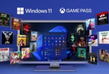 如何打开Win11自动HDR?Windows11 hdr选项设置_找独服