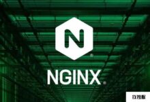 nginx服务器域名绑定的详细教程(nginx配置对指定页面的域名访问)_找独服