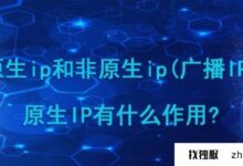 香港服务器的原生ip好吗?它在哪里?(香港代理服务器ip)_找独服