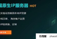 测试海外本地ip服务器的dns和ip地址(国外DNS服务器的地址)_找独服