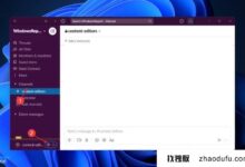 win11系统中如何使用Slack huddle vs call视频会议_找独服