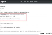 Dogyun Dog Cloud 5周年，香港MG国际线每年支付99元，BGP线每年付199元，本地IP_找独服