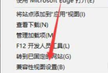 Win11兼容性视图集在哪里？Win11兼容性视图设置方法(如何在Windows S10中设置兼容性视图)_找独服