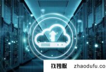 作为下载站的服务器速度不稳定怎么办?(服务器下载速度慢)_找独服