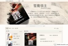 用国外的服务器建一个小说网站怎么样?(国外的服务器可以在国内建网站吗?)_找独服