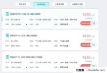 案例分析:美国站组服务器出口如何配置动态IP?_找独服