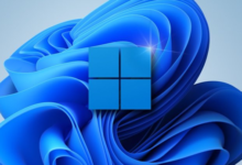 Win11如何查看隐藏物品?查看隐藏项目的Win11方法(win10隐藏项目)_找独服