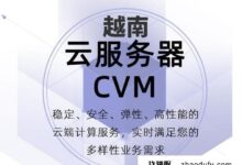 全球云服务器在越南的价格是多少?(越南OEM软云)_找独服