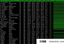 反延迟:日本的CN2GIA line服务器在哪里?(cn2vps,日本)_找独服