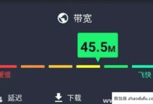 新加坡最快的多ip服务器是哪个?(美国多ip场服务器)_找独服